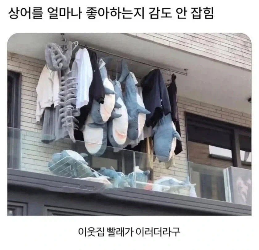 상어를 얼마나 좋아하는지 감도 안 잡힘_1.webp