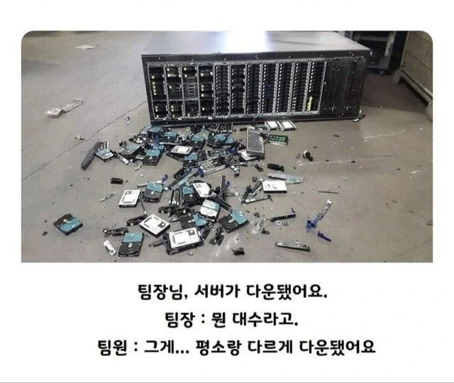 서버가 다운됐다_1.webp