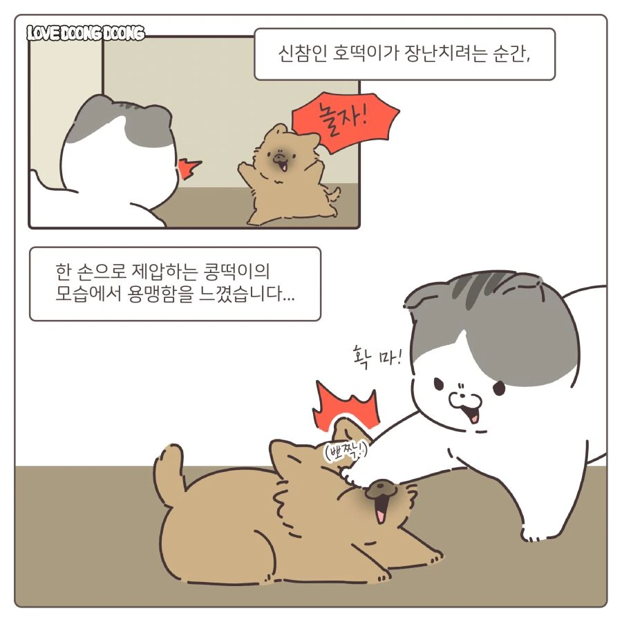 manga_1505941_004.webp