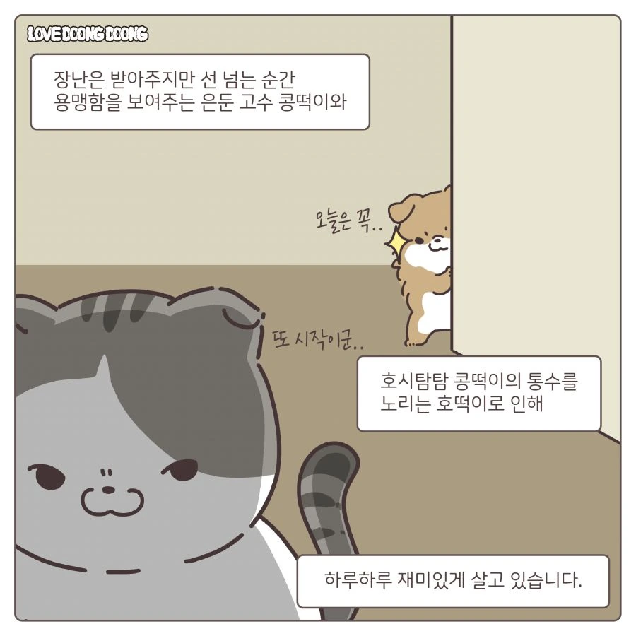 manga_1505941_006.webp