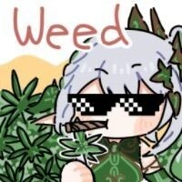 manga_2426204_001.webp