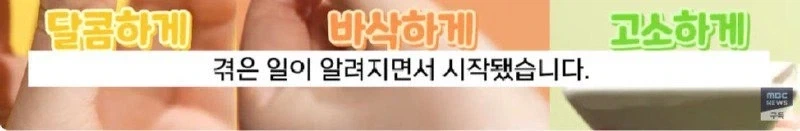 천하의 애국노 기업_6.webp
