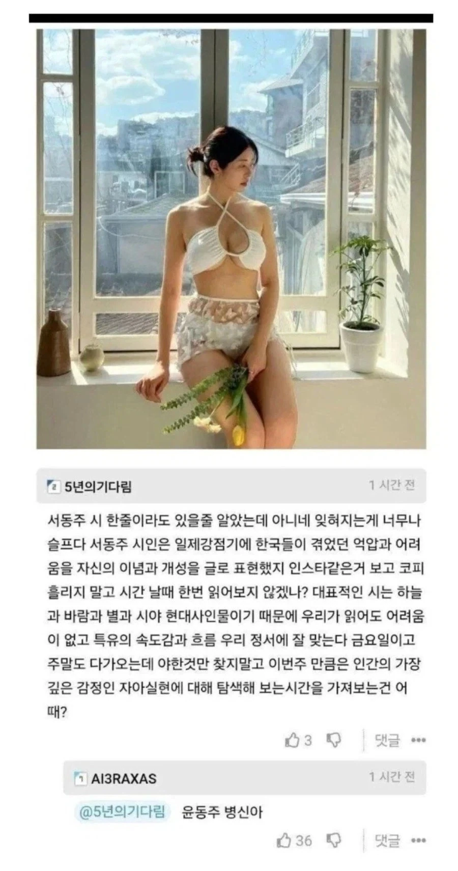 서동주 비키니 사진에 달린 댓글_1.webp