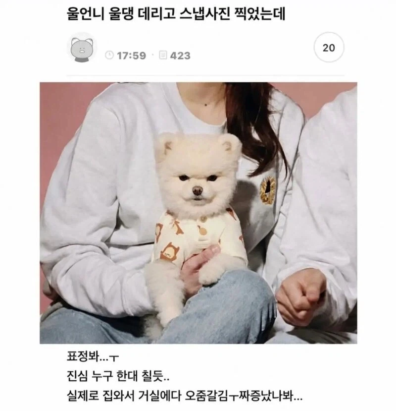 강아지데리고 스냅사진찍었는데_1.webp