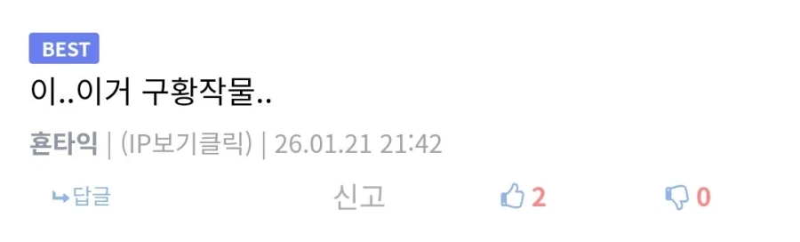 어느 순간 뉴욕에서 인기 식품이 된 것.jpg_9.webp