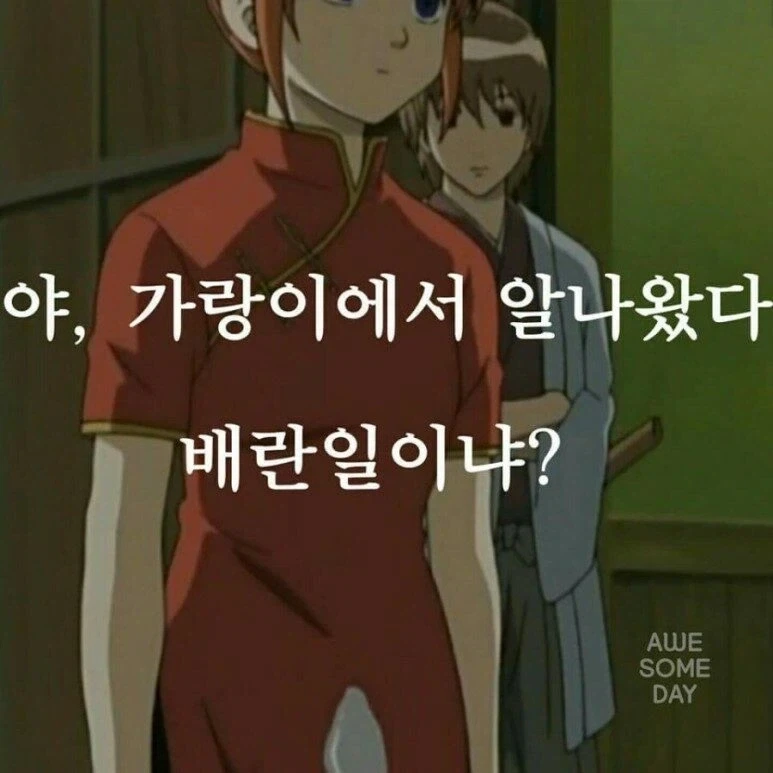 세상에서 유일하게 은혼만이 할 수 있는 드립.jpg_1.webp