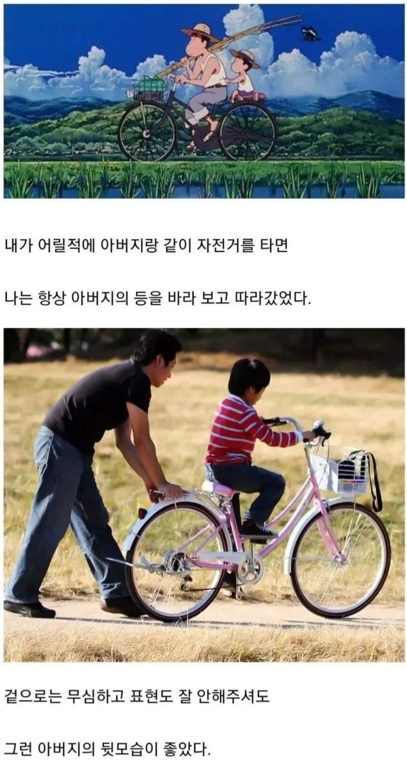 자전거와 아버지의 등_1.webp