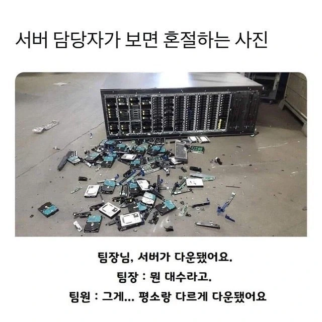 서버가 다운 되었어요_1.webp