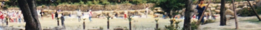 1980년대 사진들.JPG_9.webp