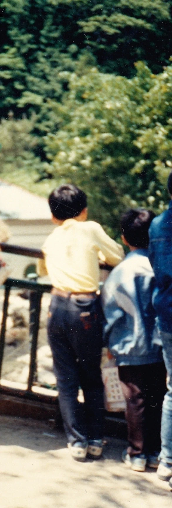 1980년대 사진들.JPG_47.webp