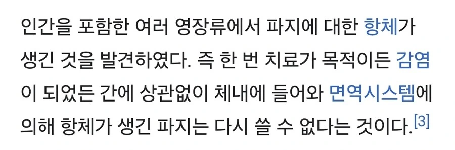 박테리오 파지 요법의 단점_2.jpg