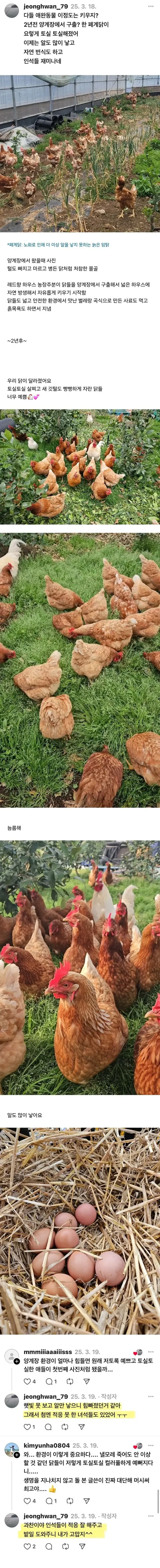 폐닭 사와서 2년 묵힌 결과._1.webp