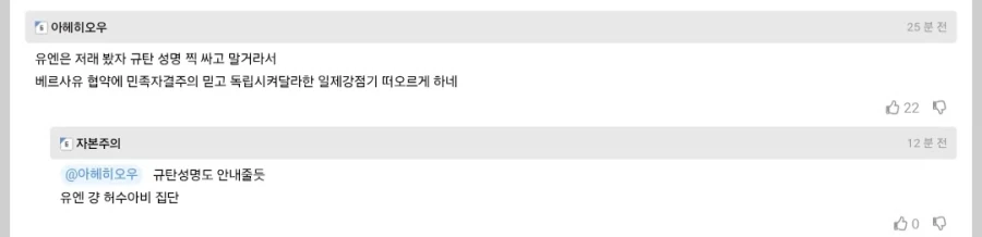 티베트인, 뉴욕 유엔본부 앞서 독립호소 연설 후 분신해 숨져_2.webp