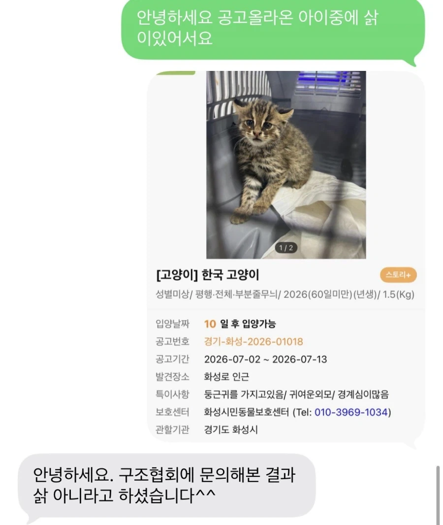 유기묘중에 칡이 있어요!!.jpg_2.webp