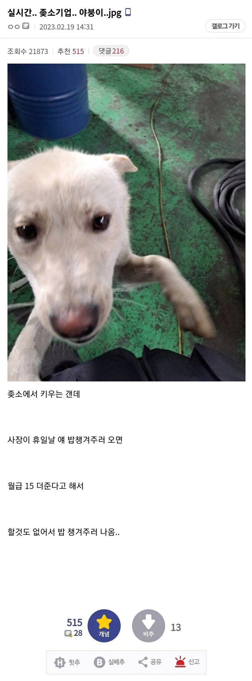 휴일에 출근하라는 ↗소_1.webp