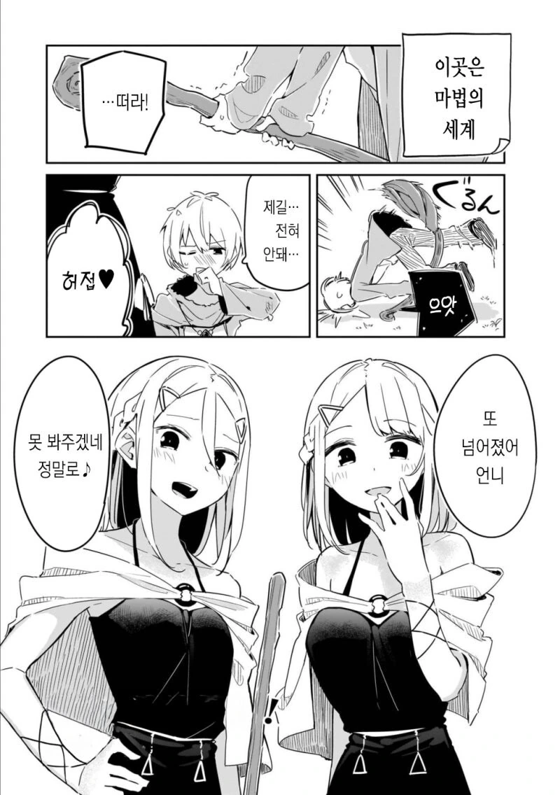 쌍둥이 마법사가 남자 괴롭히는 만화_1.jpg