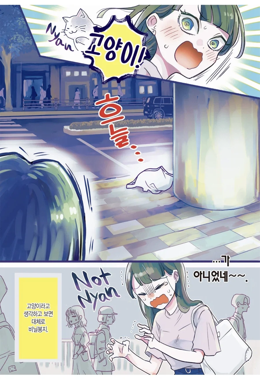 그 여자가 비닐봉지를 키우게 된 까닭_2.webp
