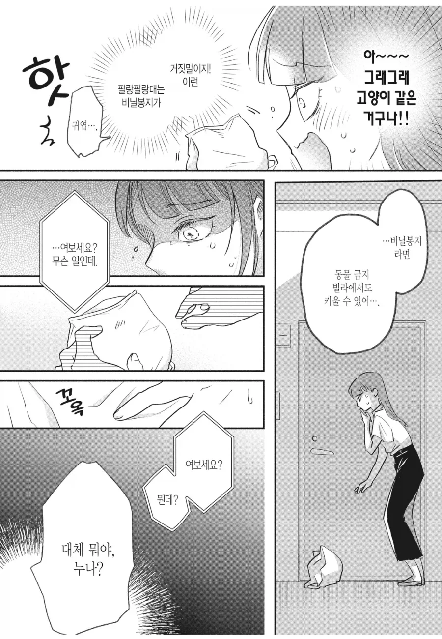 그 여자가 비닐봉지를 키우게 된 까닭_3.webp