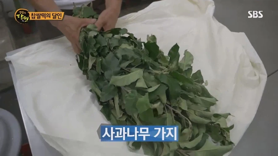 생활의 달인 대구 찹쌀떡의 달인_18.webp