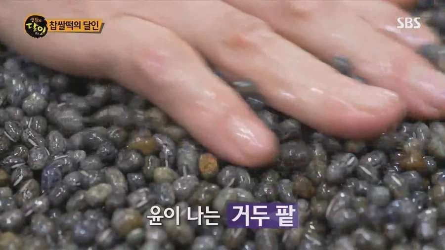 생활의 달인 대구 찹쌀떡의 달인_38.webp