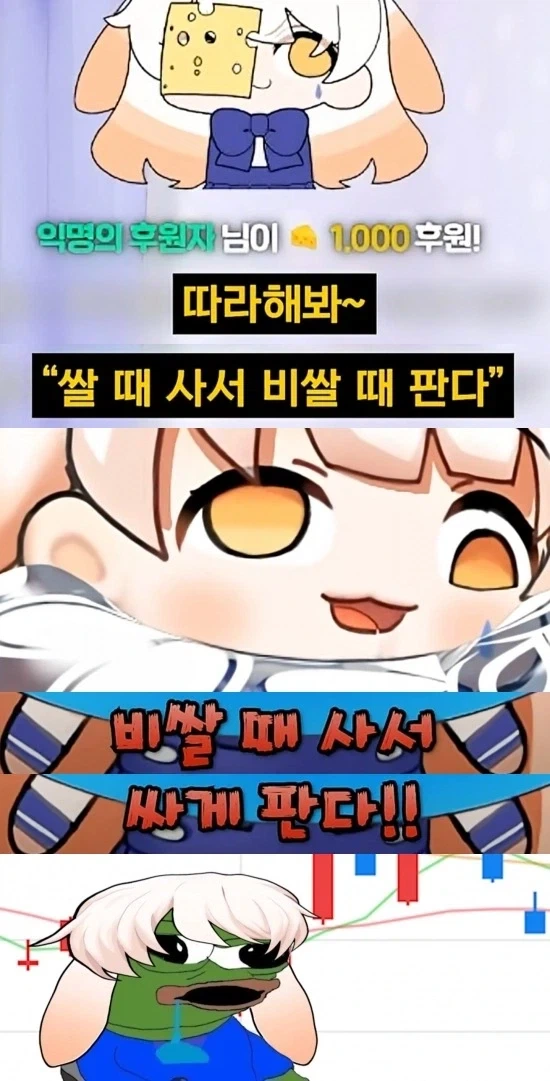 자, 따라 해 봐~ 쌀 때 사서, 비싸게 판다!.jpg_1.webp
