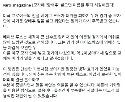 모자에 양배추 넣으면 두피 시원해진다..._2.webp
