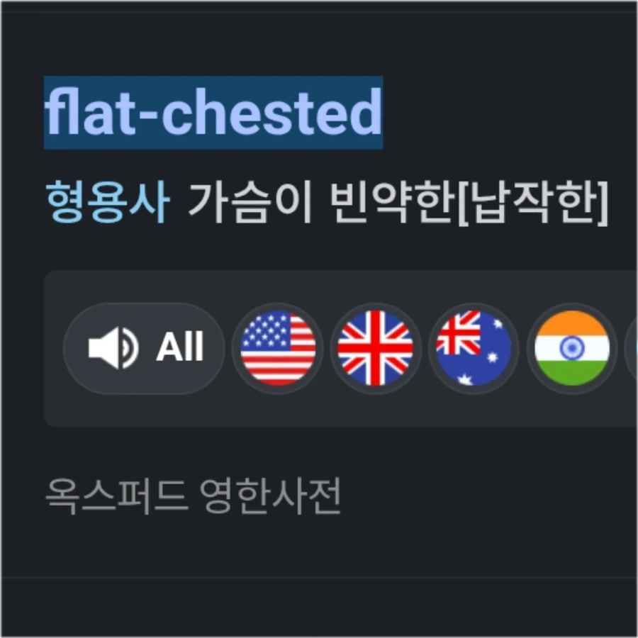 영어권에선 빈유는 여자 가슴 취급도 안한다_2.webp