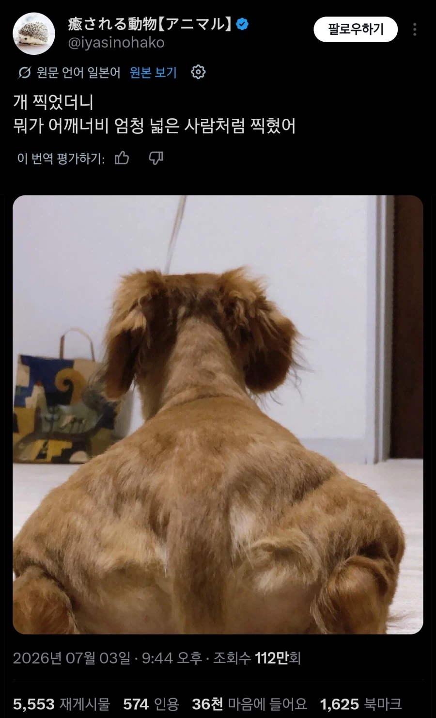 뒤태가 장난이 아닌 개_1.webp