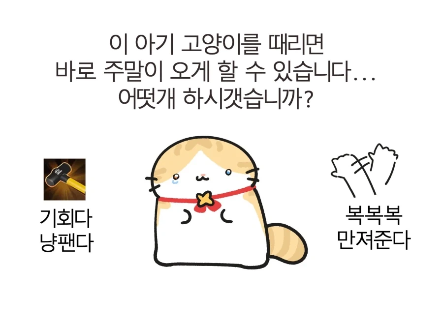 이 아기 고양이를 때리면 바로 주말이 오게 할 수 있습니다._1.webp