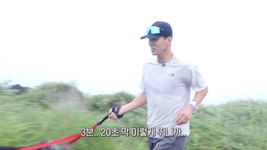 말라뮤트 산책 알바 시켜주는 션..._2.webp