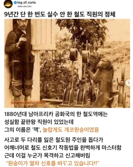 9년간 한 번도 실수 하지 않은 철도 직원_1.webp
