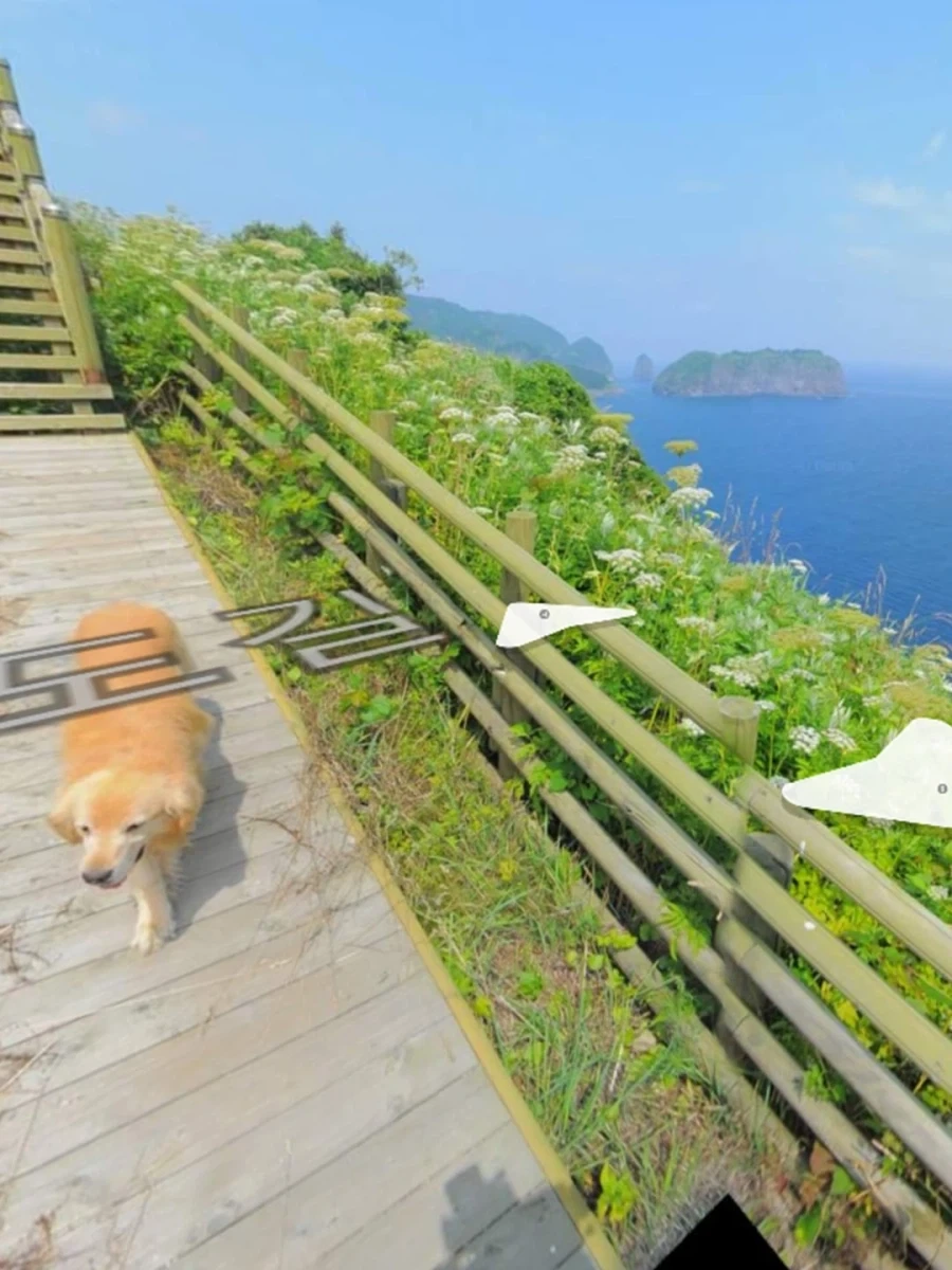 섬 로드뷰 찍는데 계속 따라오는.._3.webp