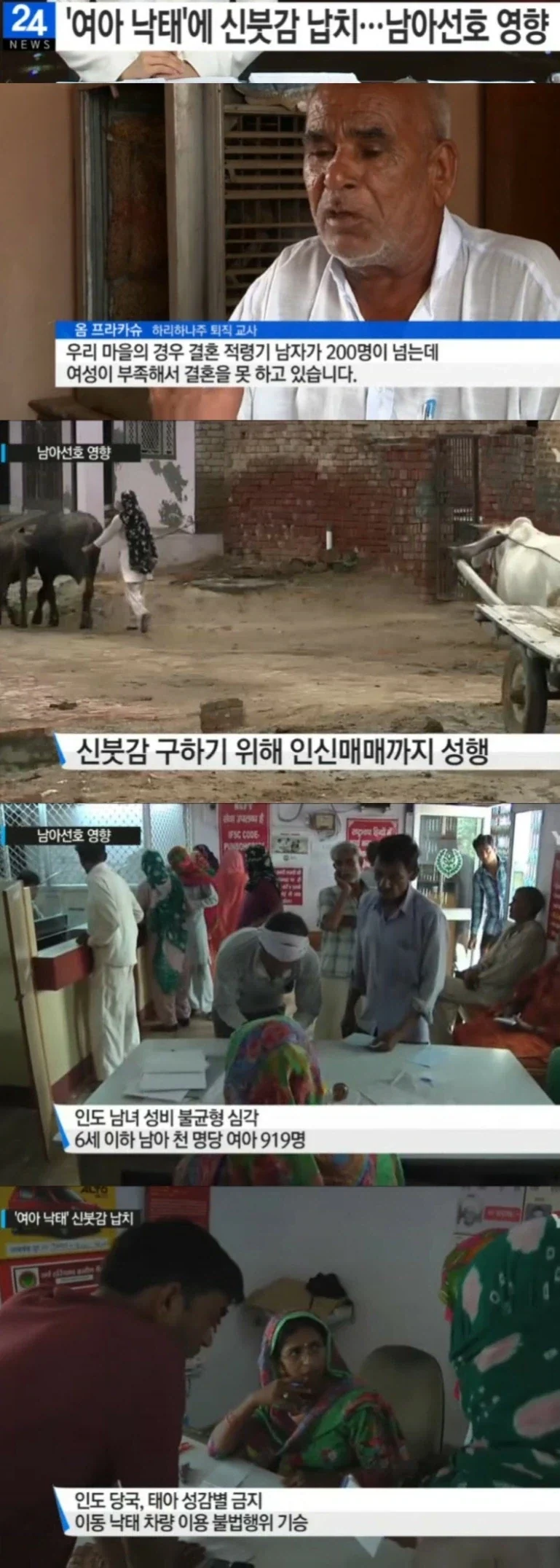 인도의 여아낙태 열풍으로 인한 부작용.jpg_1.webp