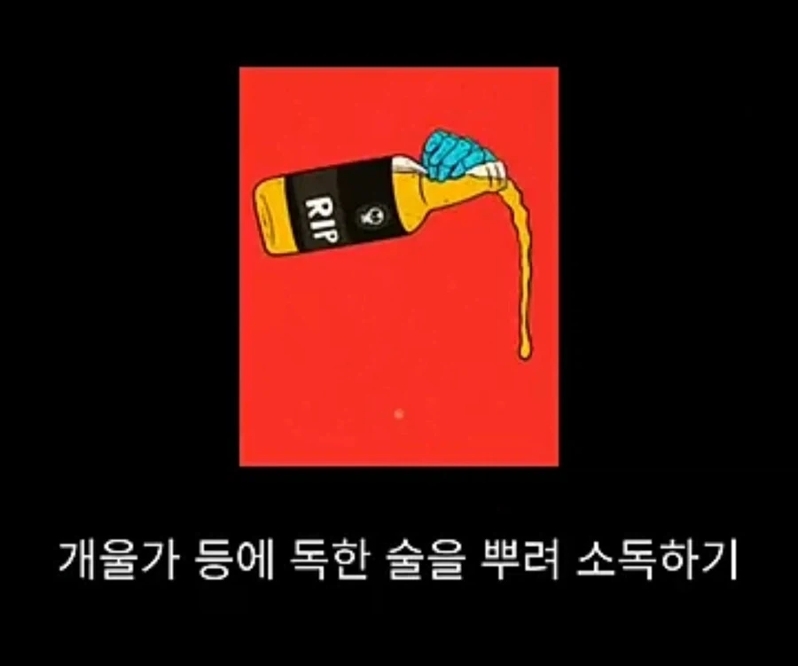 흑사병을 퇴치시킨 전설의 의사_12.webp