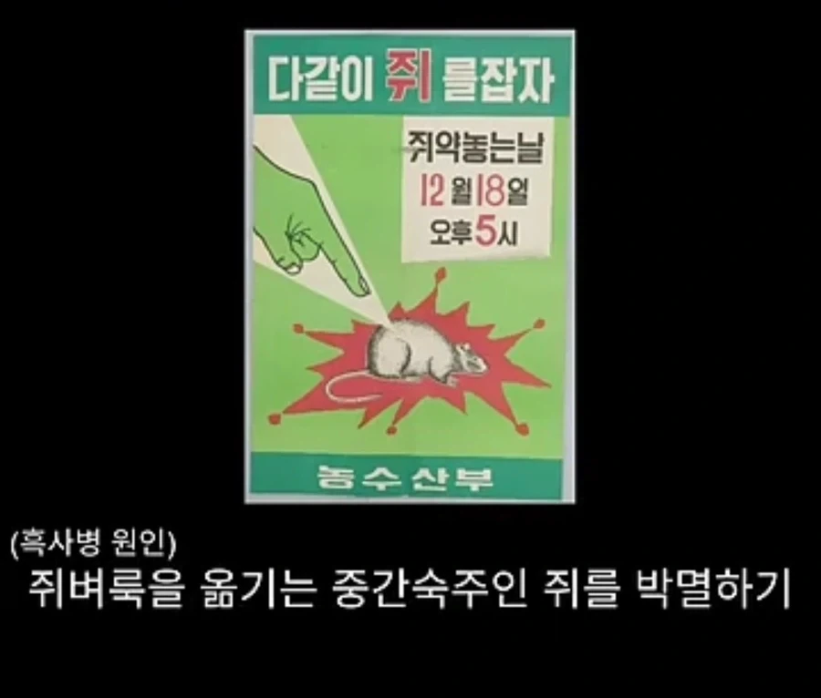 흑사병을 퇴치시킨 전설의 의사_13.webp