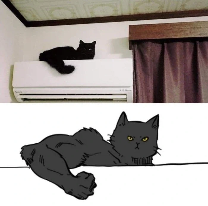 너무너무 귀여운 검은 고양이_5.webp