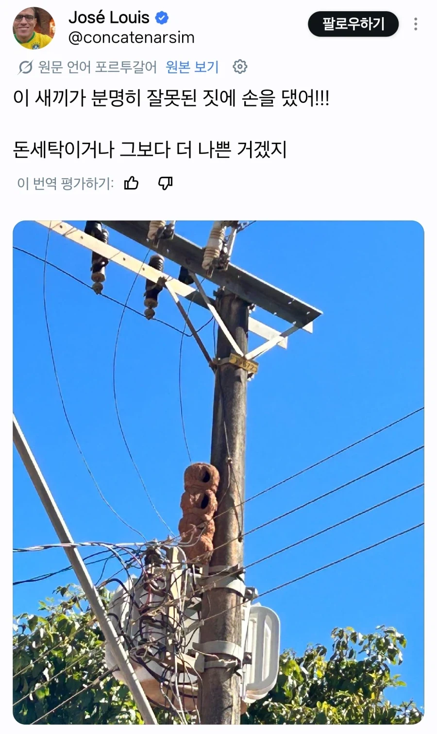 이 동네에 부자 이사와서 평온이 깨졌어 젠장_2.webp
