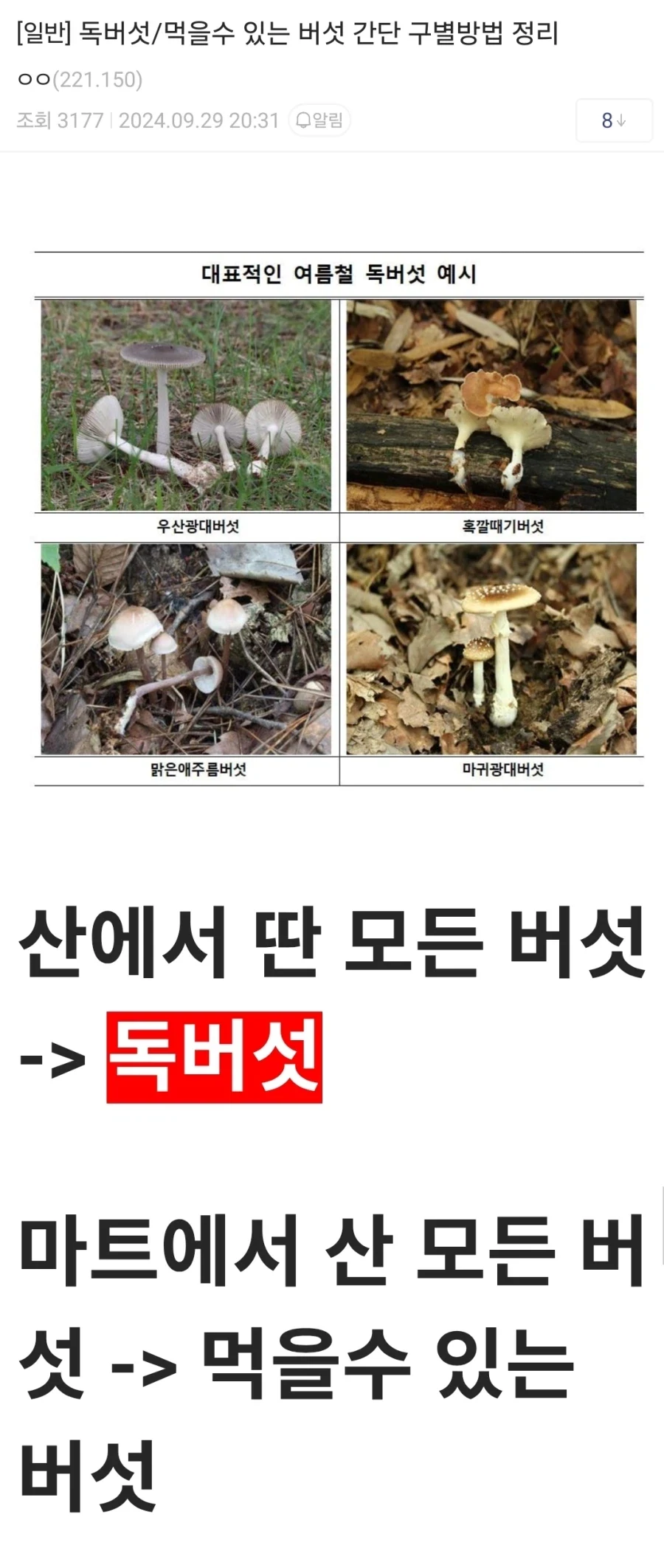 디시의 간단 독버섯/식용버섯 구분방법_1.webp