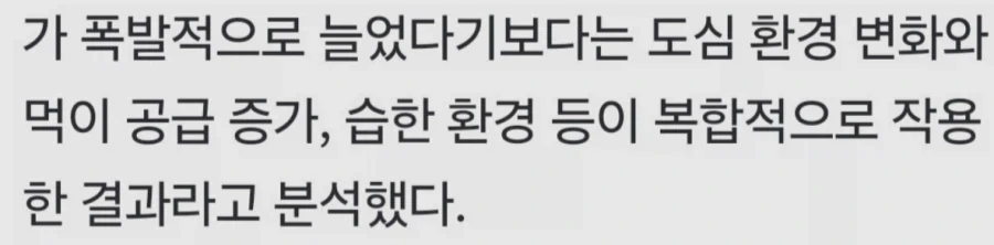 바퀴벌레 창궐 ‘3요소’ 갖춘 서울…살충제도 안 통한다_2.webp