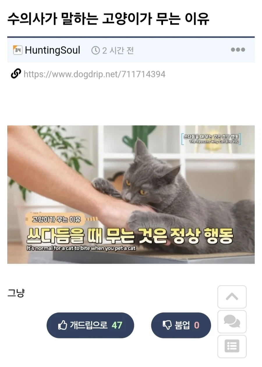 고양이 쓰다듬는데 무는 이유.jpg_1.webp