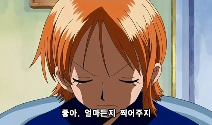 [원피스]ONE PIECE 231.mp4_20250422_172739.335.jpg
