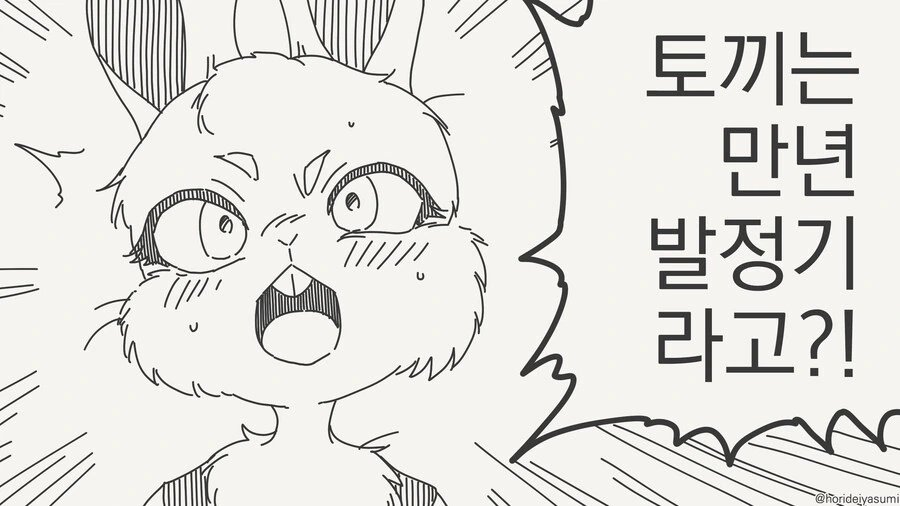 토끼가 상시발정기인걸 몰랐던 만화_1.jpg