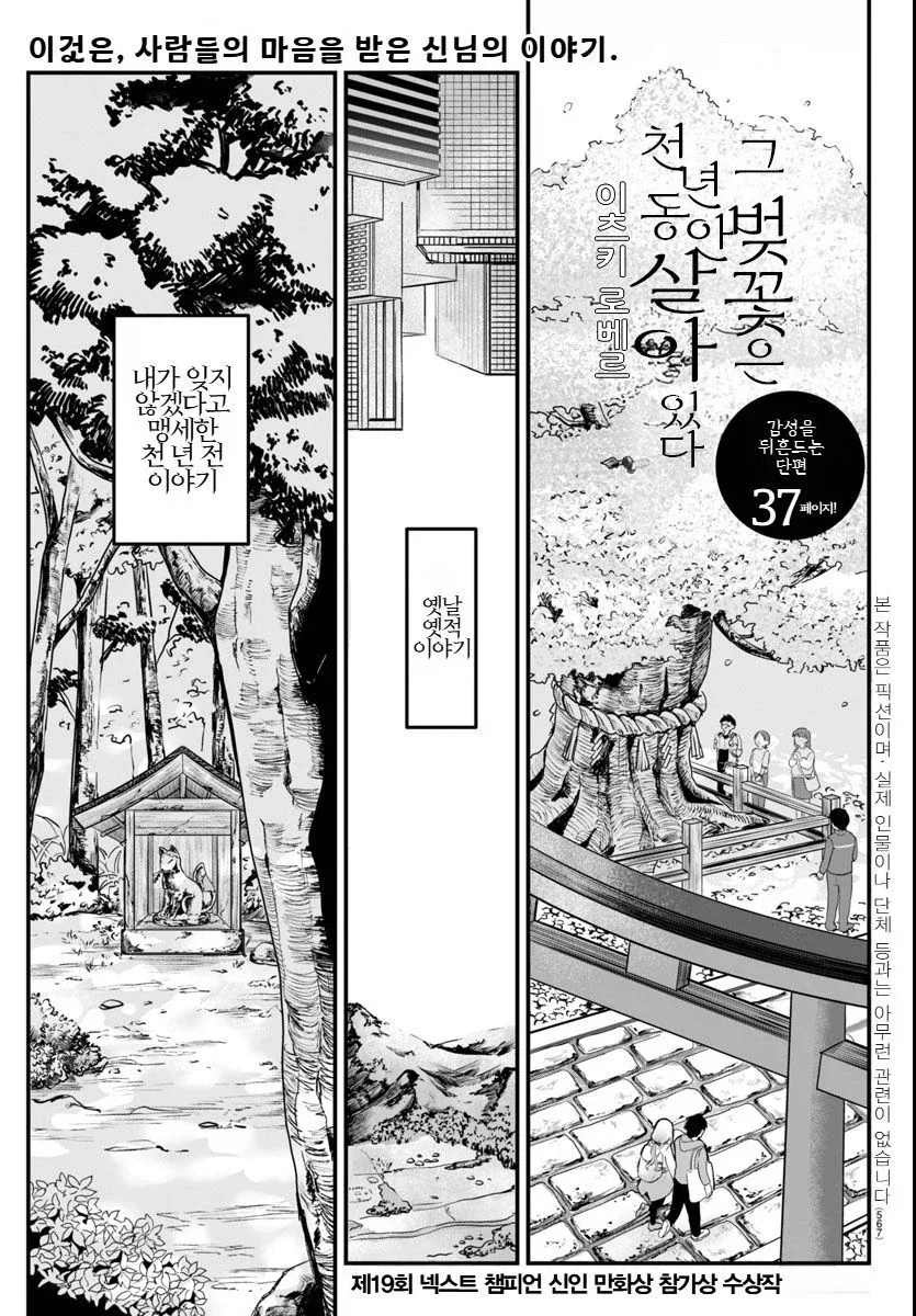 그 벚꽃은 천 년 동안 살아있다.manhwa_1.webp