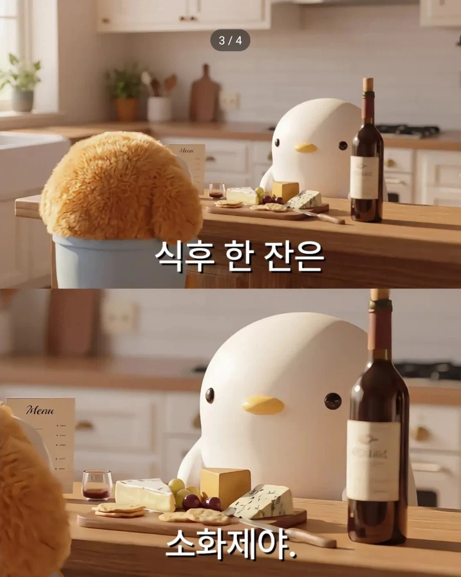 와인에 치즈 안주는 혈압관리에 안좋으니 자제하세요._3.webp