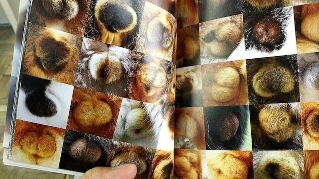 정떡이 범람하면 죶토피아를 달리는 이유.jpg_2.webp