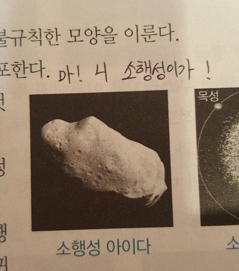 부산 출신 소행성.jpg_1.webp
