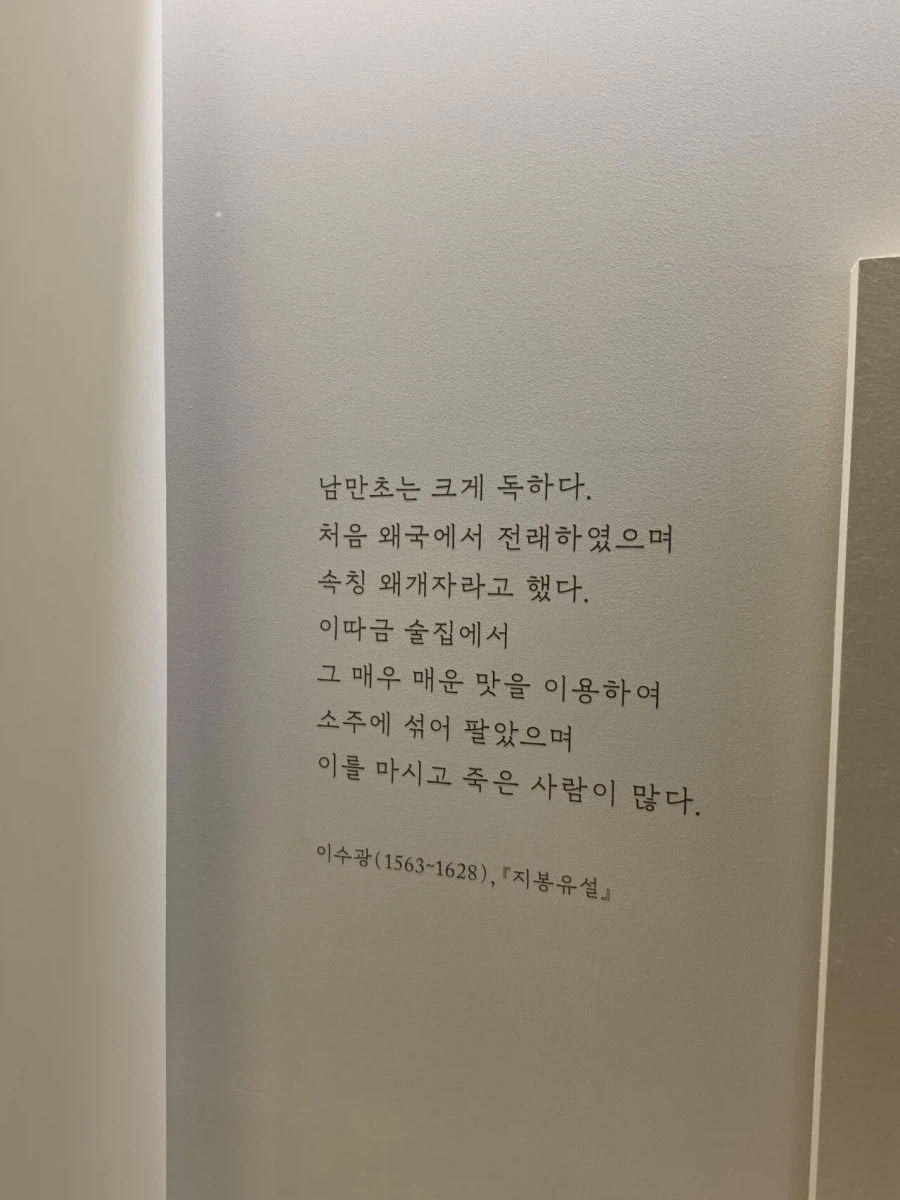 한국인이 고추를 일상적으로 먹어도 괜찮은 이유_3.webp