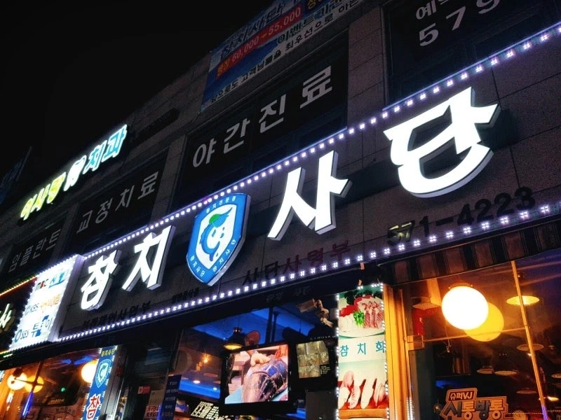 지금은 거의 멸종한 컨셉류_2.webp