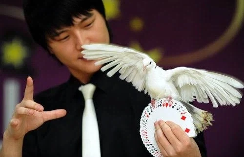 제일 난해하고 시도조차 못할 거 같은 직업 jpg_1.webp