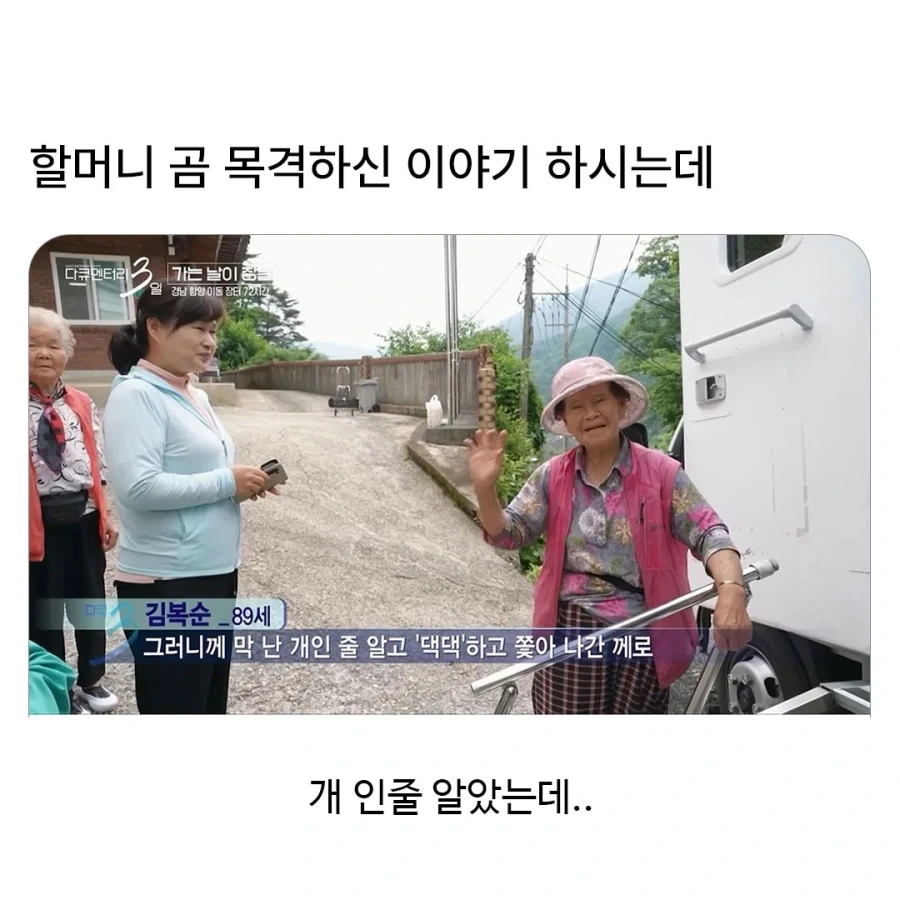 곰 목격하신 할머니의 증언..._1.webp